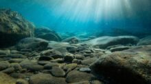 rocks on sea bed