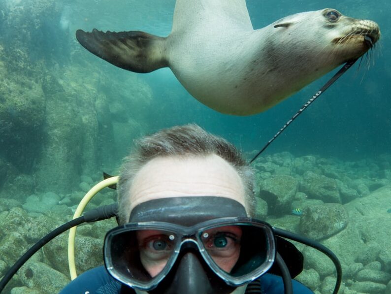seal and man underwater