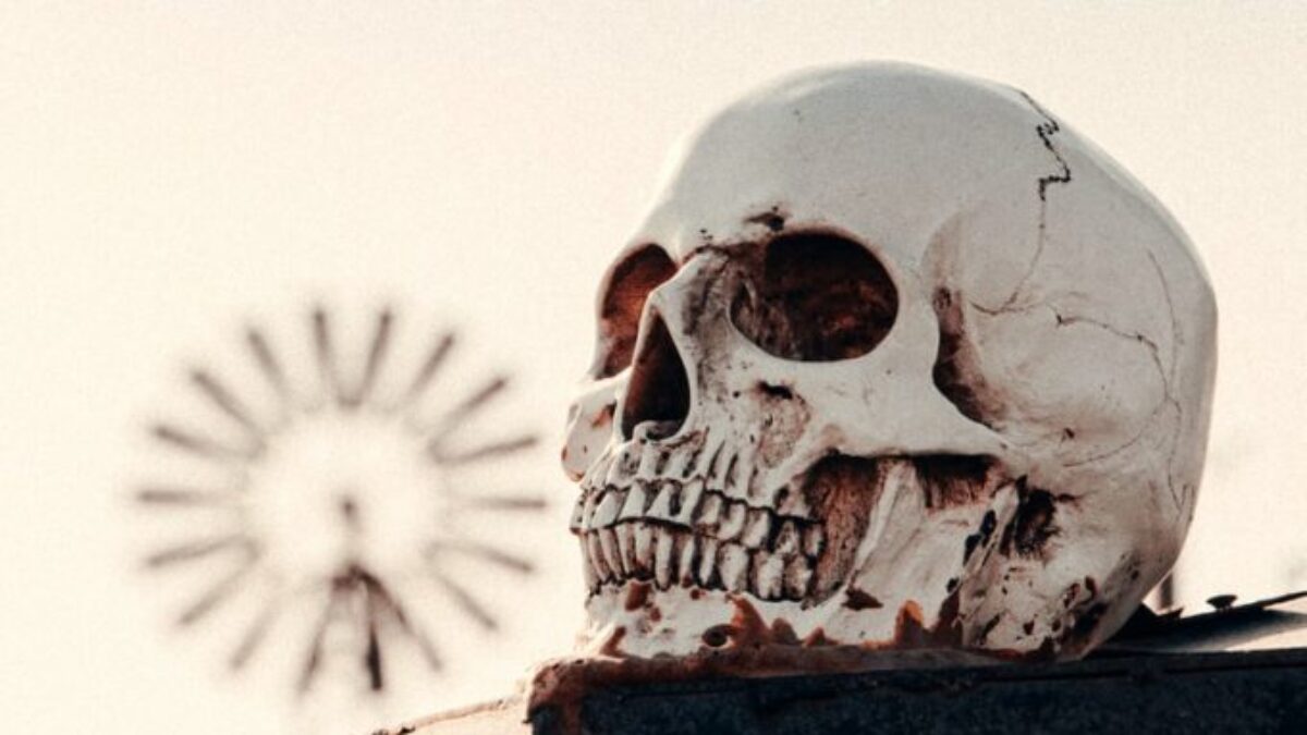 white skull on black concrete wall