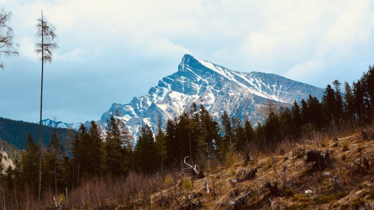 green grass field near snow covered mountain during daytime