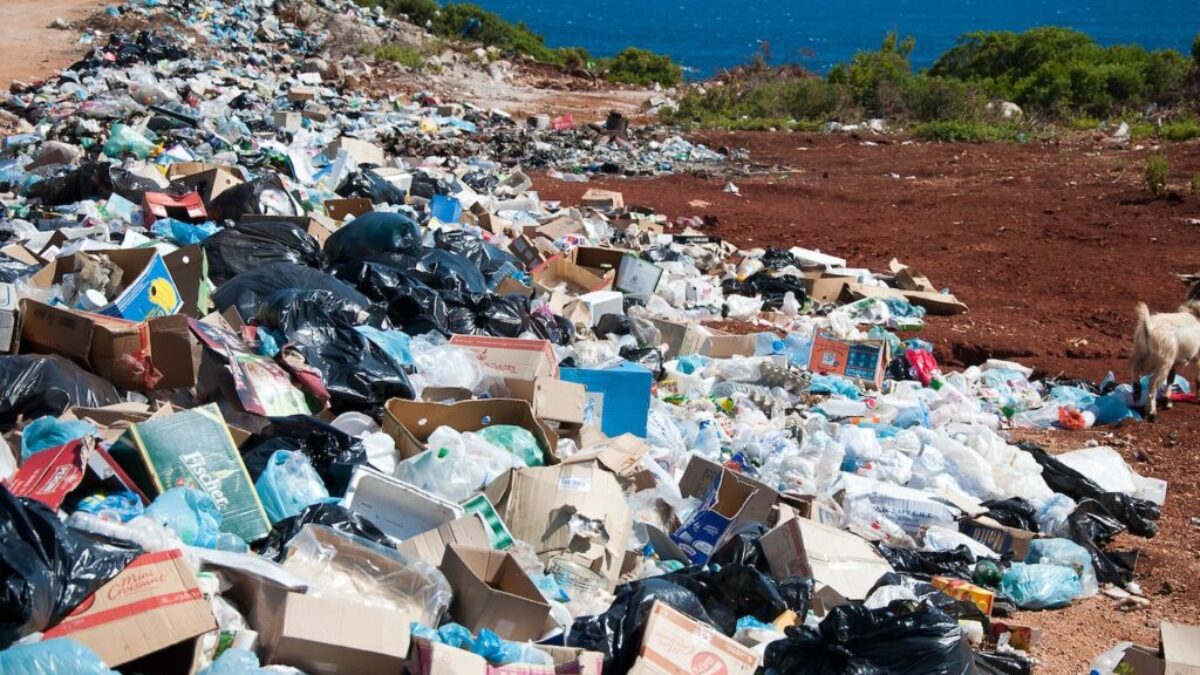 garbage near forest