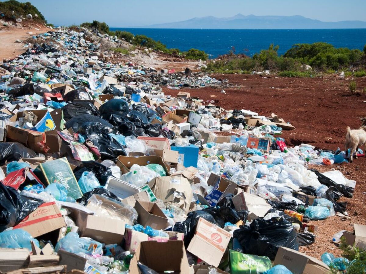 garbage near forest