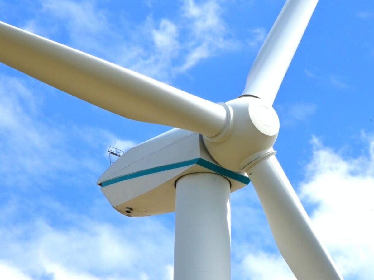 white and gray bird on white metal stand during daytime
