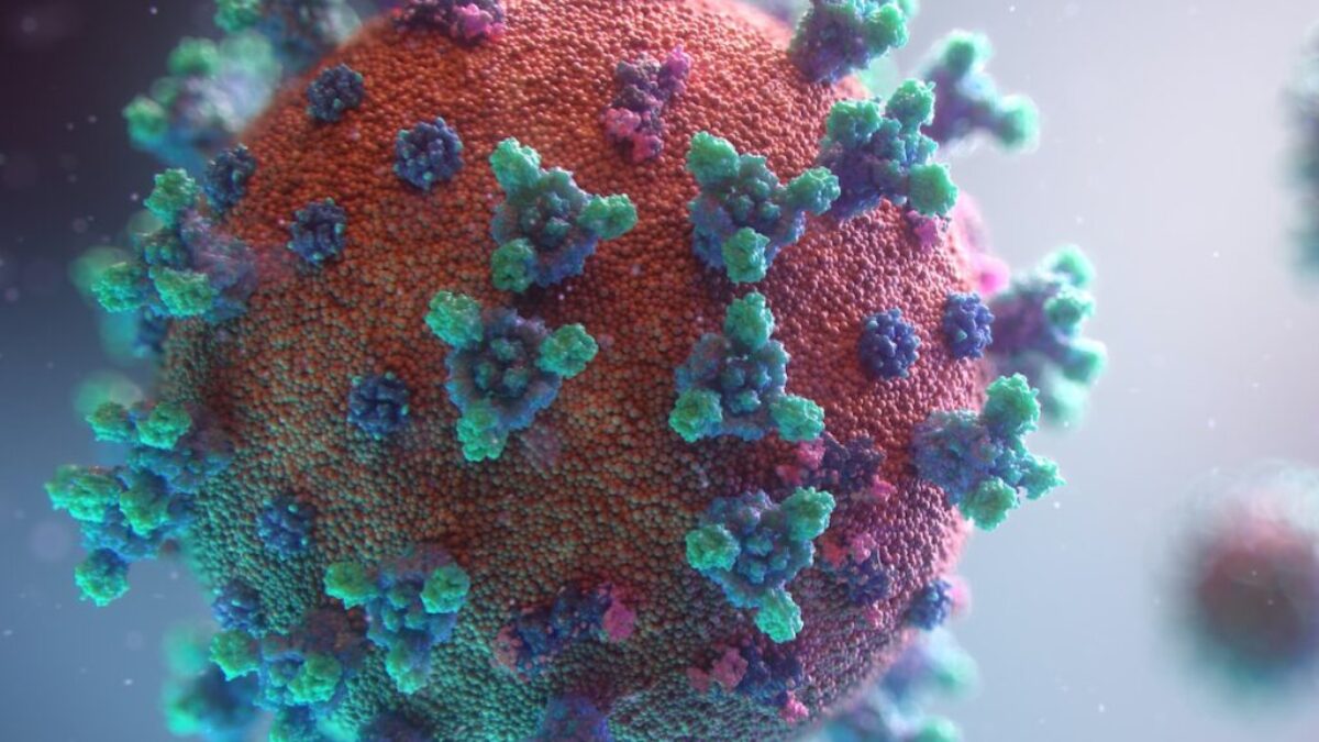 Visualization of the coronavirus causing COVID-19