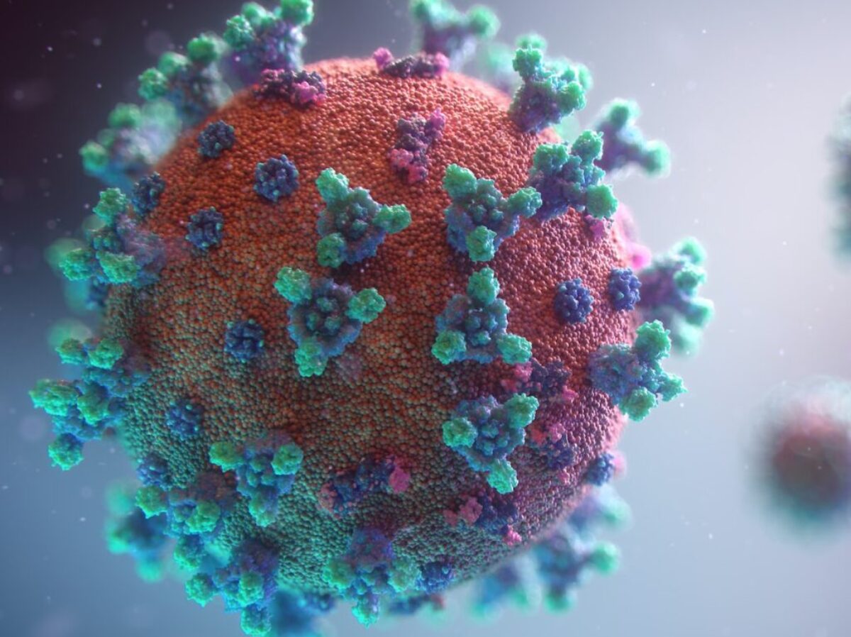 Visualization of the coronavirus causing COVID-19
