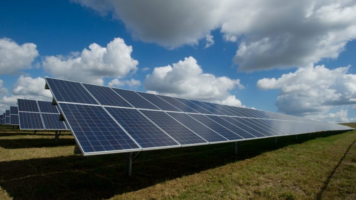 solar panels on green field