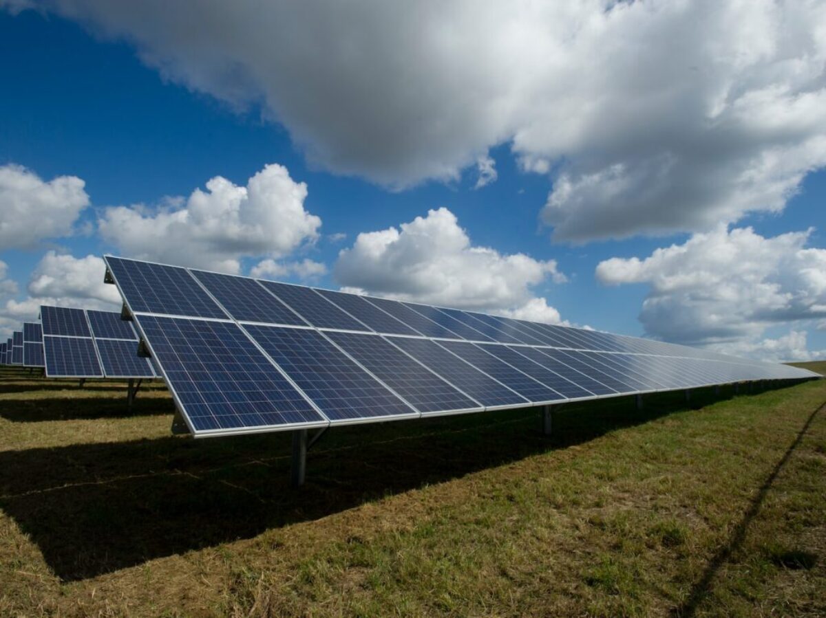 solar panels on green field
