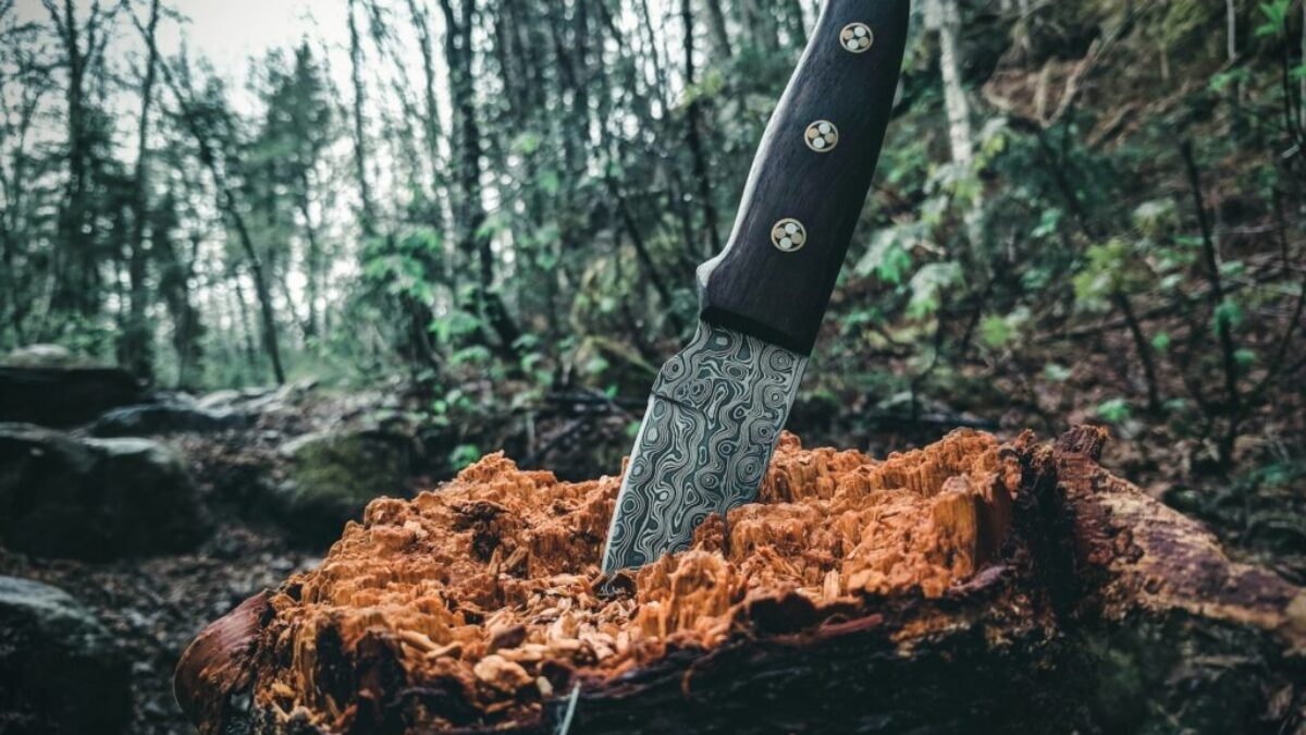 black handled knife on brown log