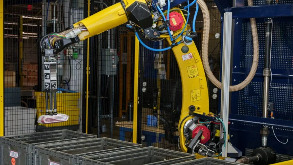 amazon-robot-sparrow