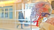 selective focus phot of artificial human skull