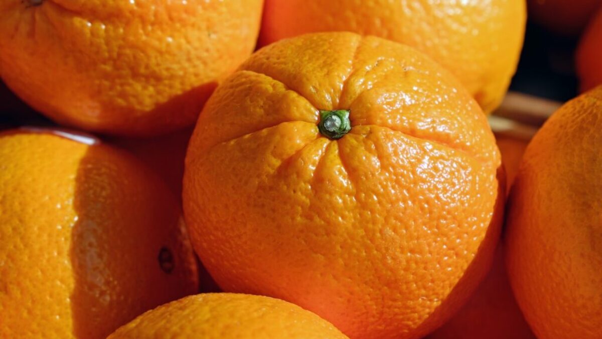 orange fruits in macro shot