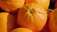 orange fruits in macro shot