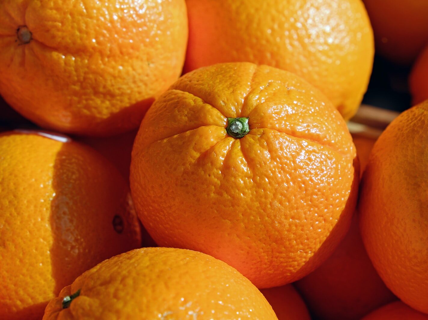 orange fruits in macro shot