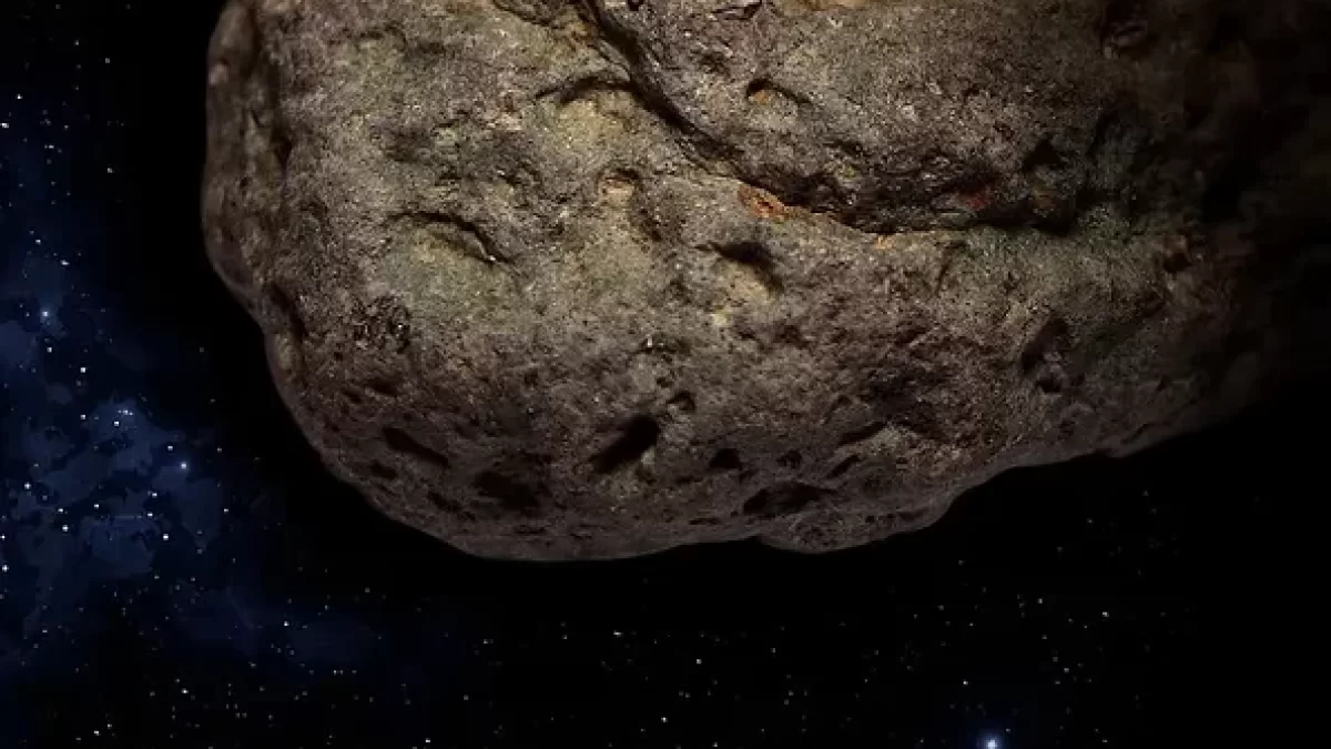12281