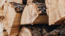 brown wood logs in close up photography