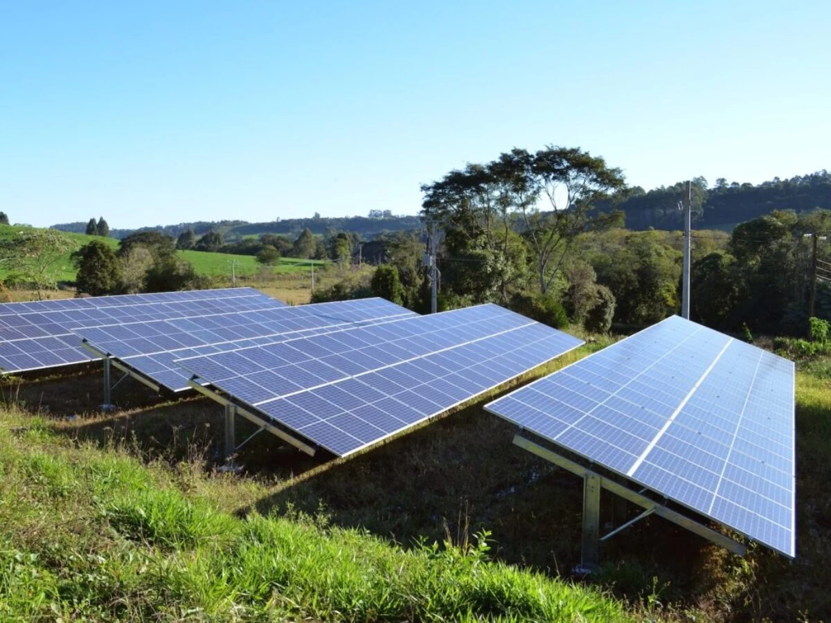 solar panels on green grass field under blue sky during daytime