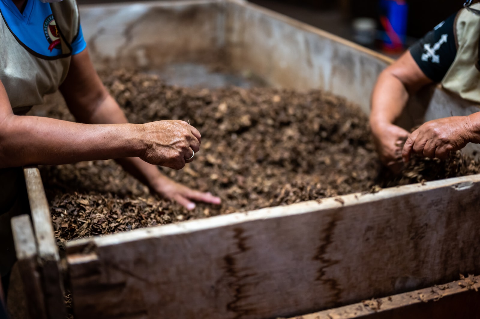 - Techsvět person holding brown soil in tilt shift lens