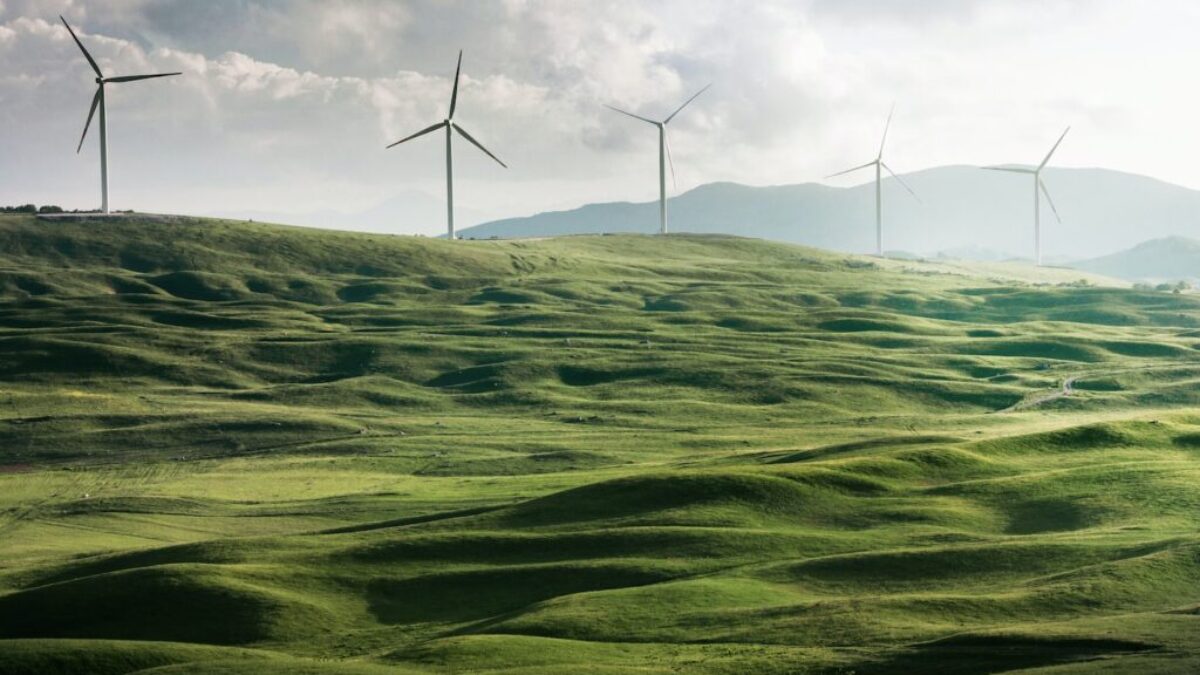 wind turbine surrounded by grass