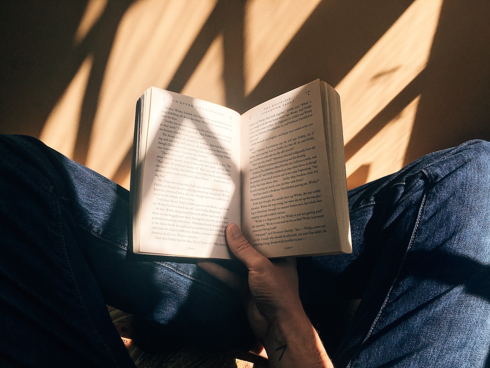 - Techsvět person holding book sitting on brown surface