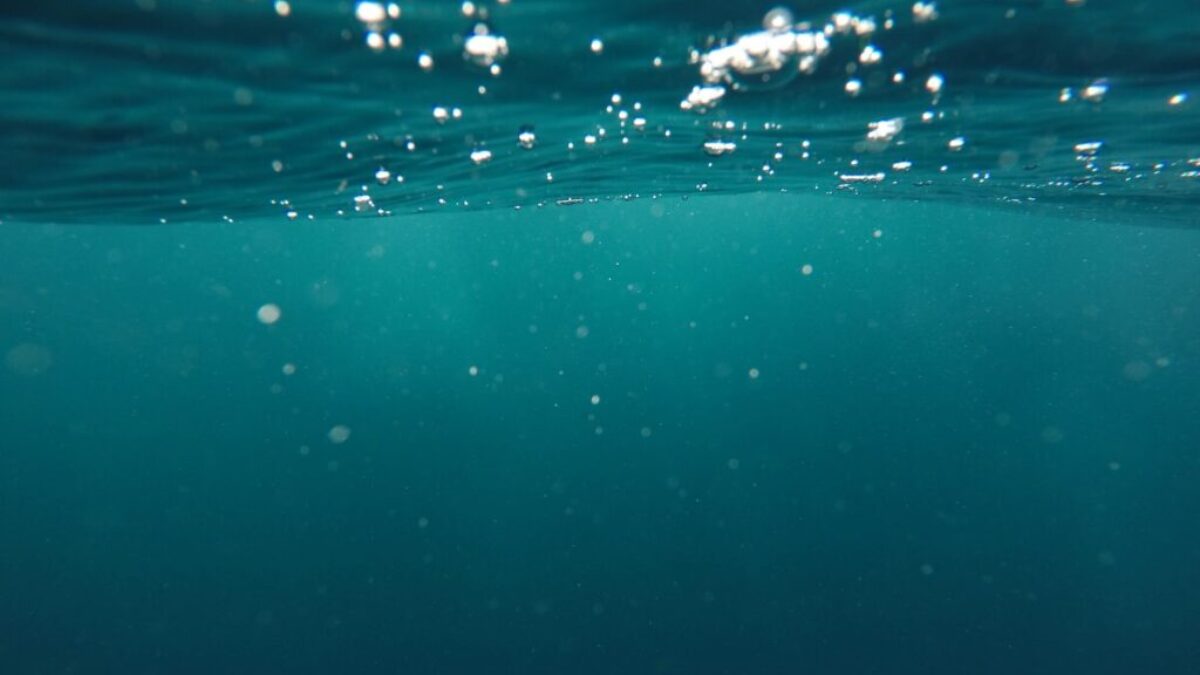 photo of underwater