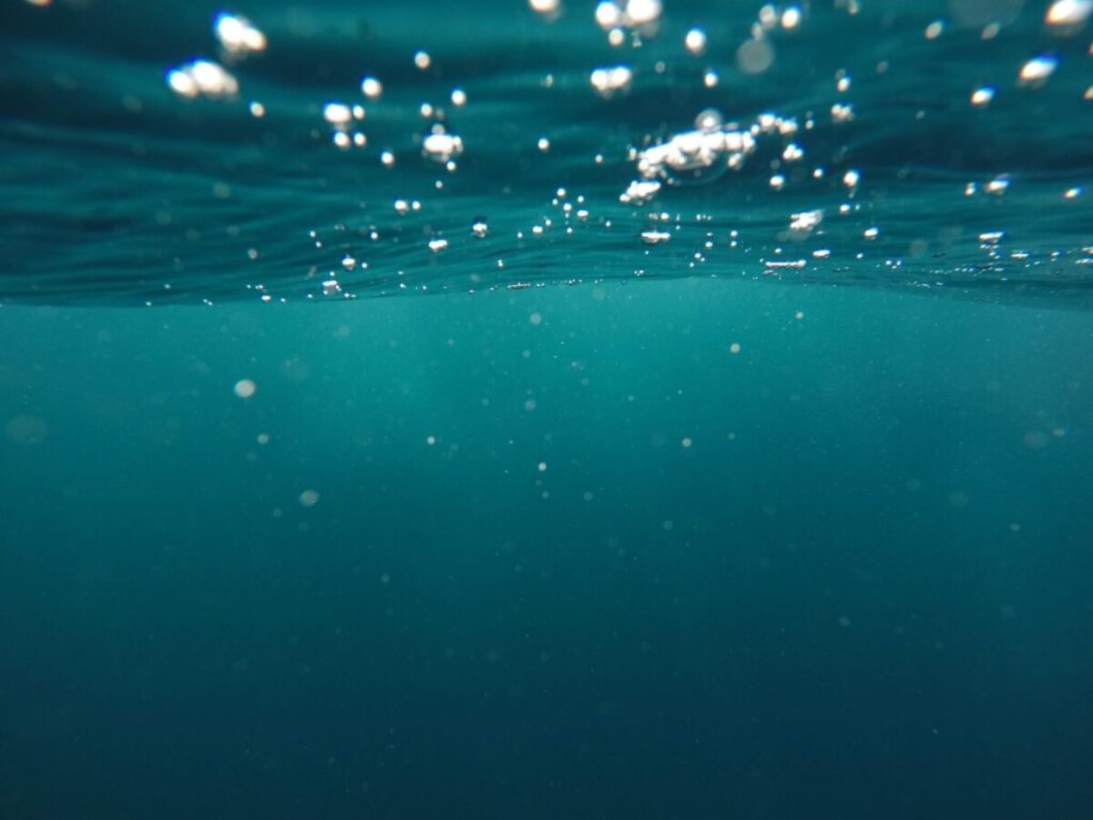 photo of underwater