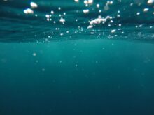 photo of underwater