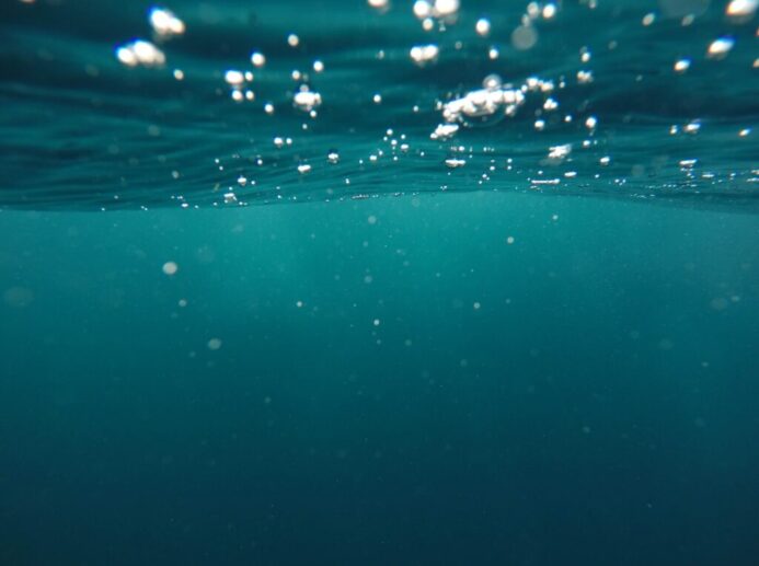 photo of underwater