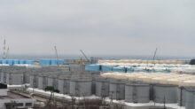 IAEA Imagebank