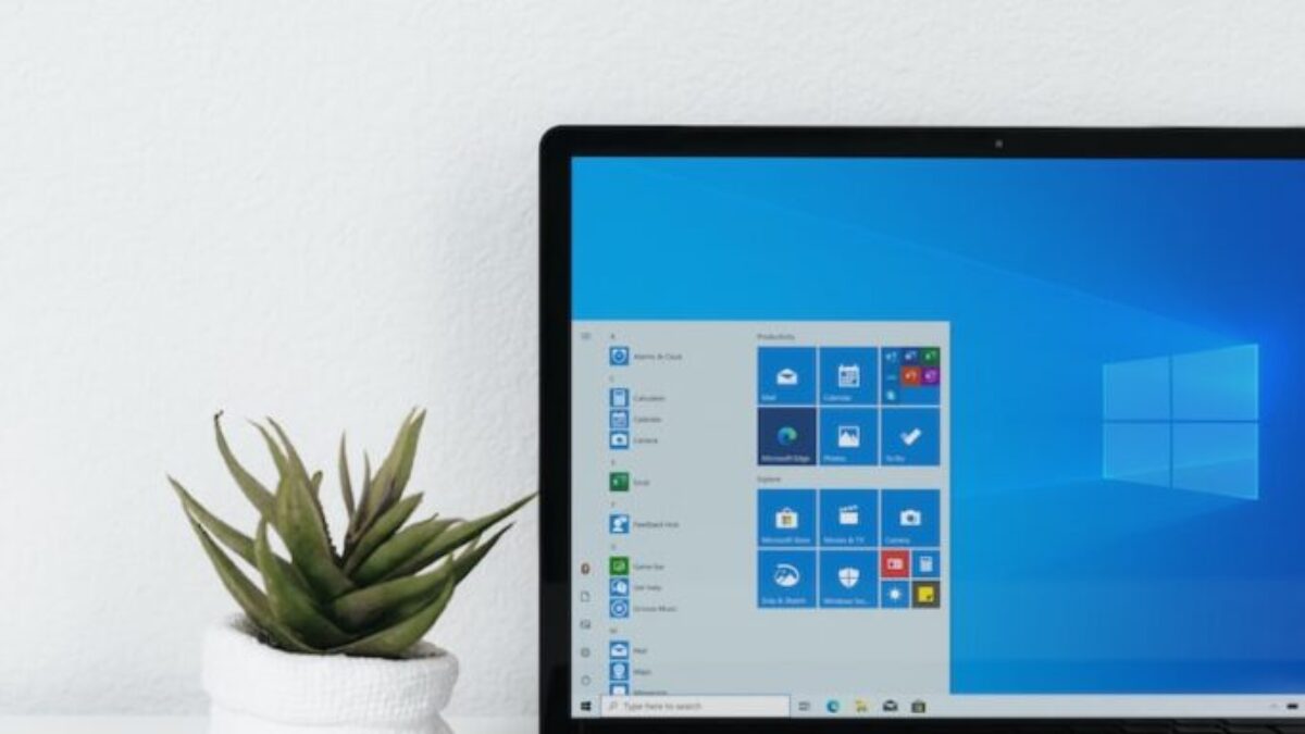 microsoft surface black laptop computer turned on beside green plant