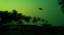 green and black trees under blue sky