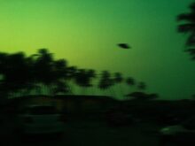 green and black trees under blue sky