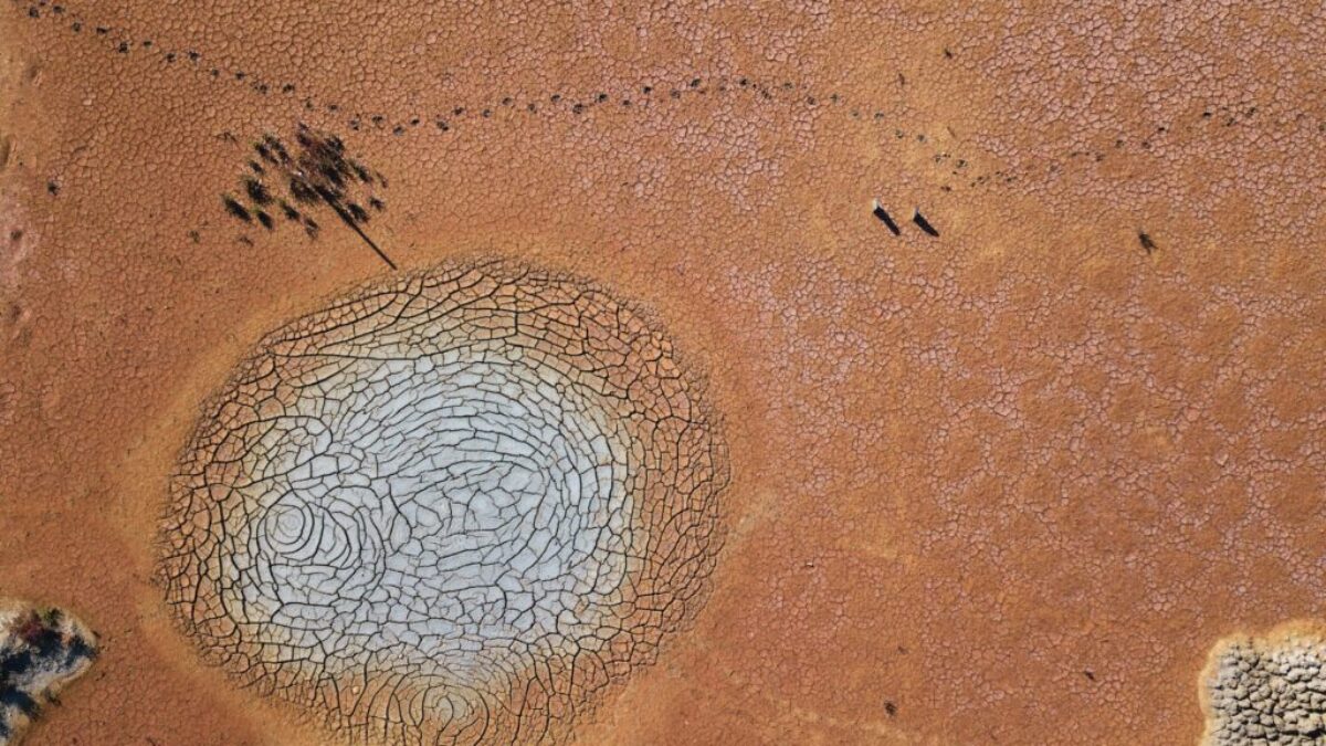 aerial photography of land