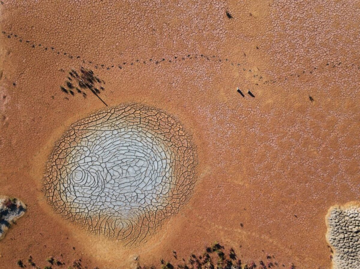 aerial photography of land