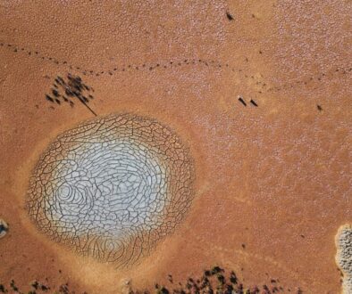 aerial photography of land