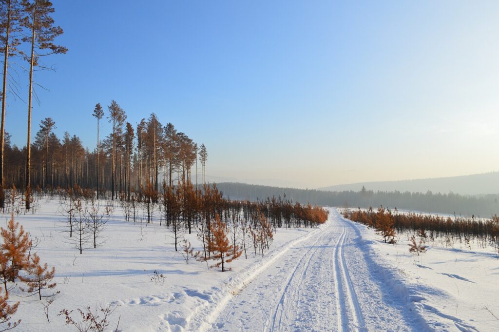 winter, siberia, snow