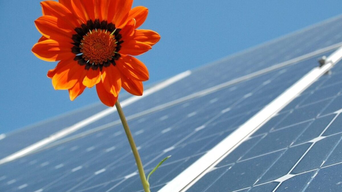 solar, photovoltaic, renewable