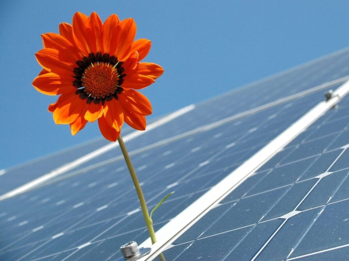 solar, photovoltaic, renewable