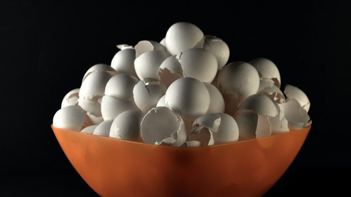 white egg on orange bowl