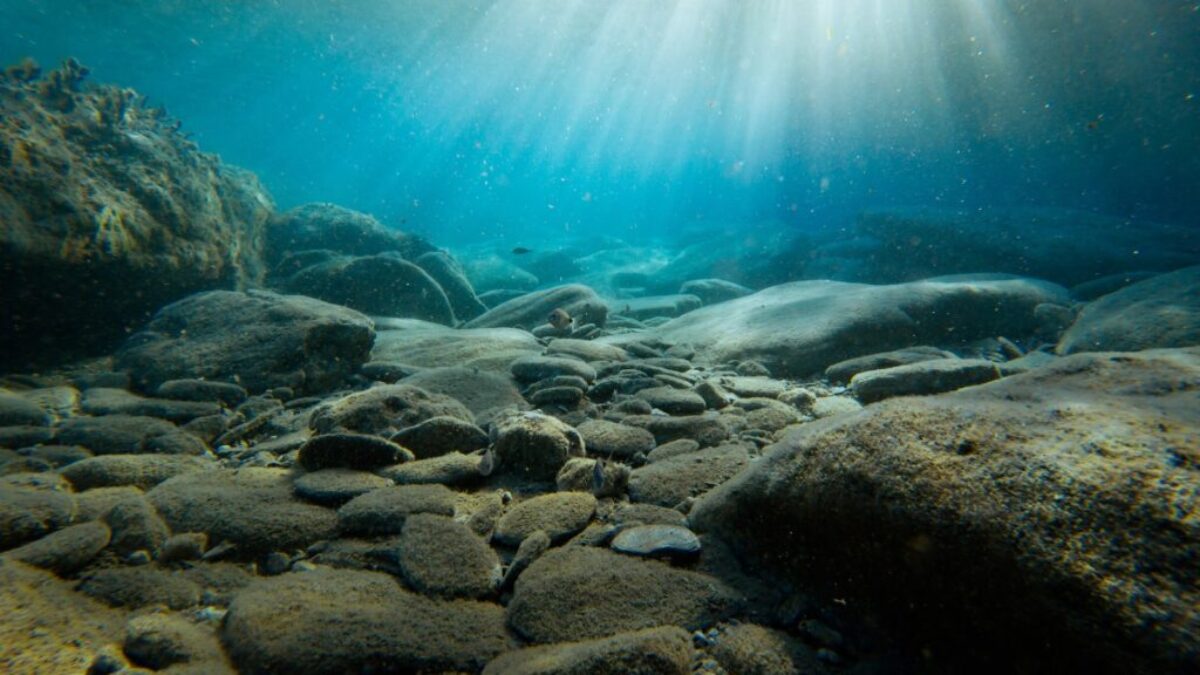 rocks on sea bed