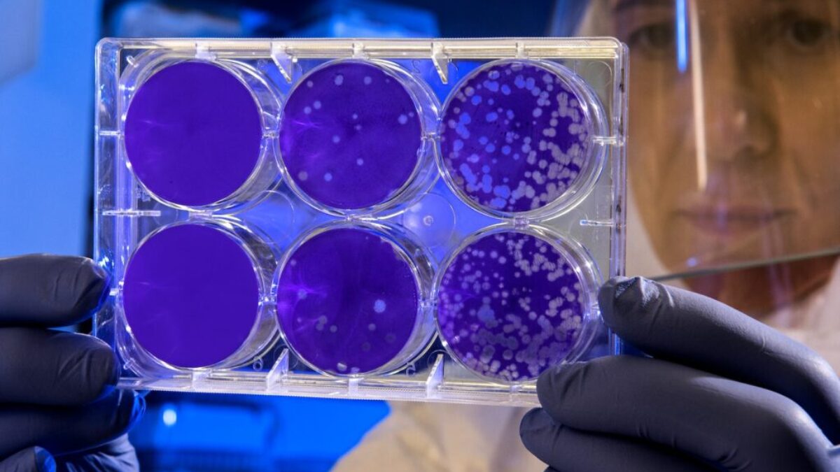 woman holding laboratory appratus