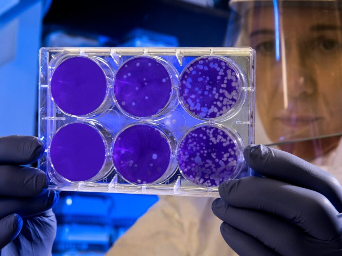 woman holding laboratory appratus