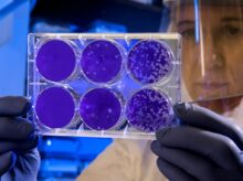 woman holding laboratory appratus