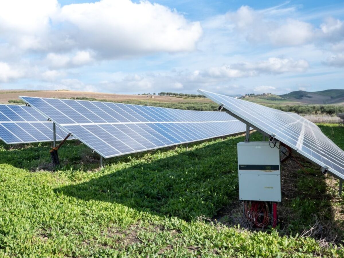 blue solar panels on green grass field under white clouds and blue sky during daytime