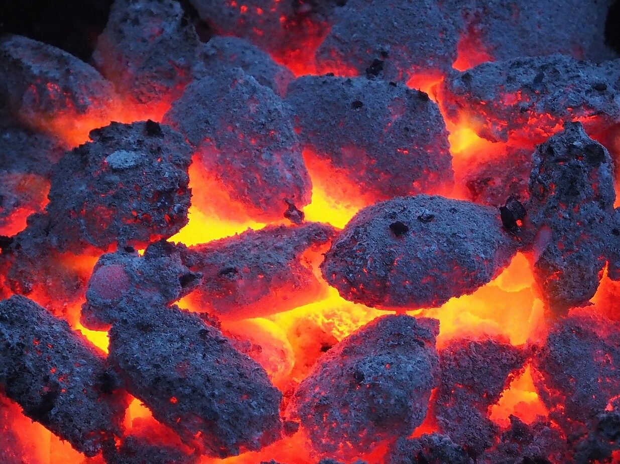 grilling, charcoal, grill