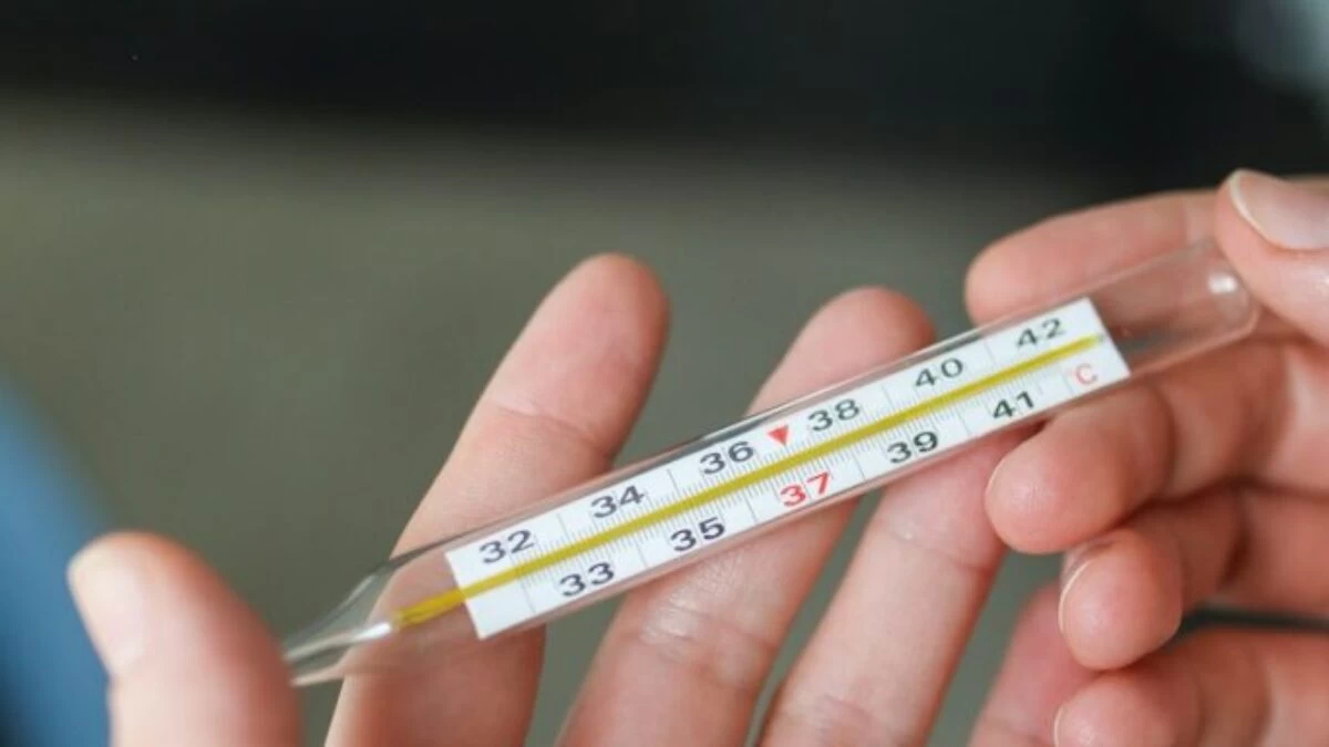 Person Holding Thermometer