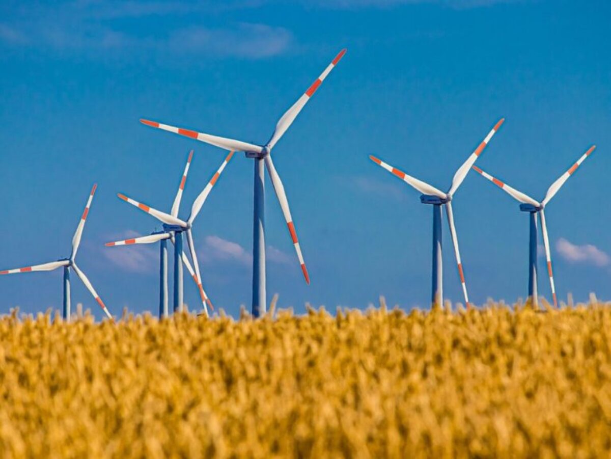 windmill, field, grain