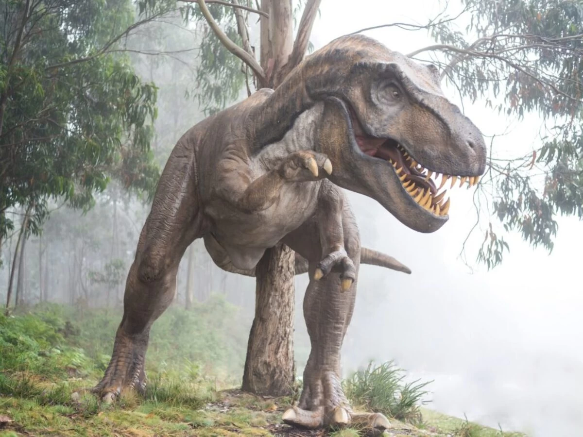 brown dinosaur illustration