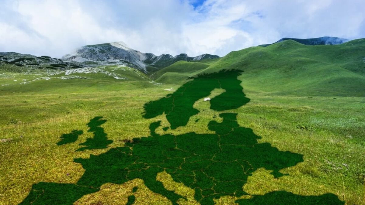 europe, meadow, green