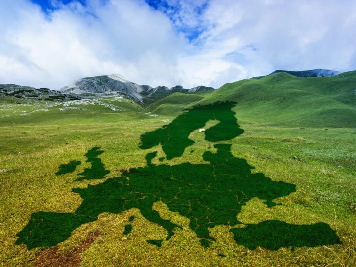 europe, meadow, green