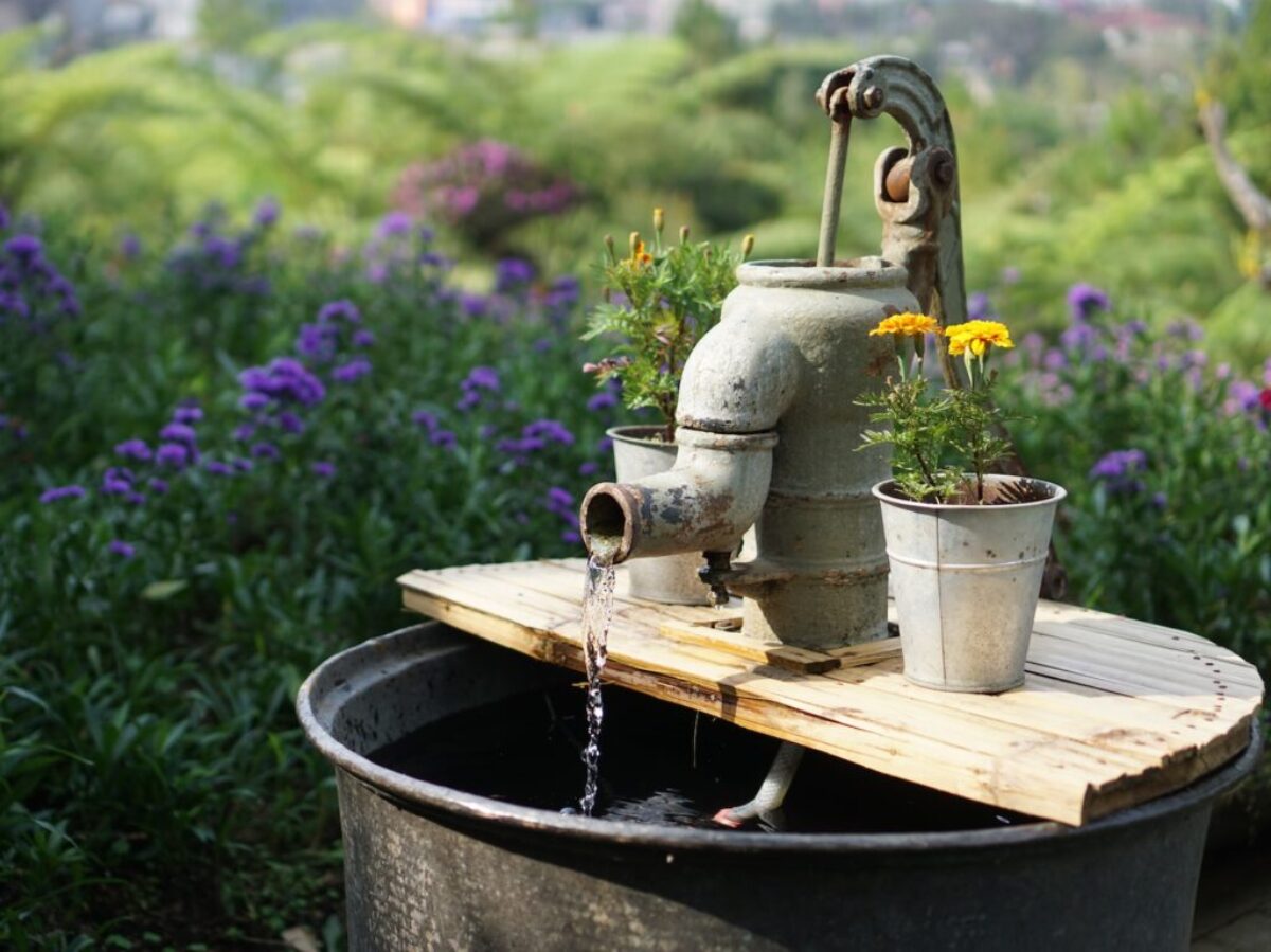 gray deep well pump surrounded by flowers during daytime